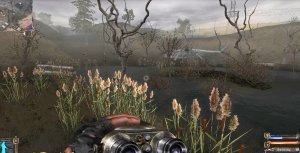 Сталкер ТЧ.    Уничтожить логово снорков на янтаре