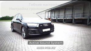 Активный выхлоп - Audi, Porsche, BMW, VW, Mercedes - AESS.RU