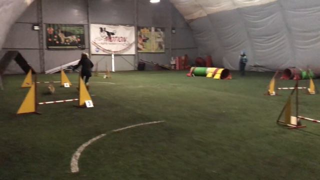 09.12.2017 Джампинг 0, трасса 2 / Jumping 0, course 2 смотреть онлайн