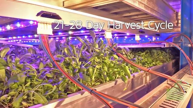 Гидропоника, автоматизация смотреть онлайн