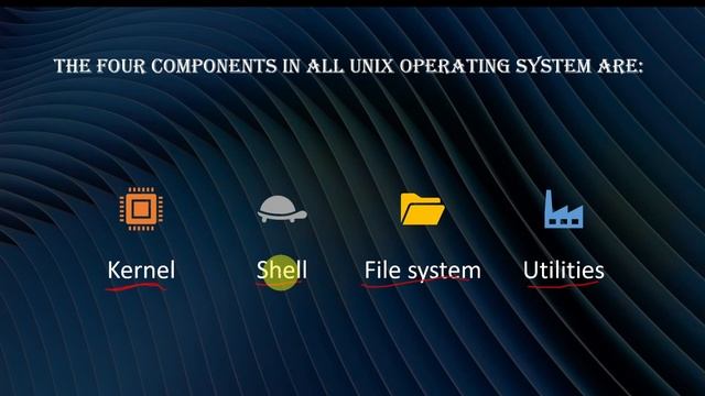 How to study the Linux Operating System| Linux for Beginner смотреть онлайн