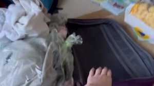 Влог✨Лагерь✨Сбор чемодана