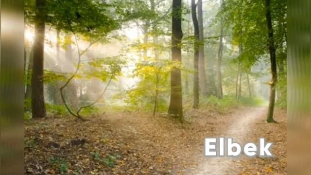 ELBEK ISMINING MA'NOSI #ELBEK #ISMINING #MANOSI #ISIMLAR #ISMI #ISIM #MANO #ISIMLAR_MANOSI #BILIMLA