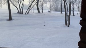 Гостевые дома на Куликовом поле