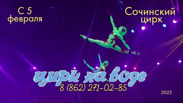 Цирк на Воде Сочи смотреть онлайн