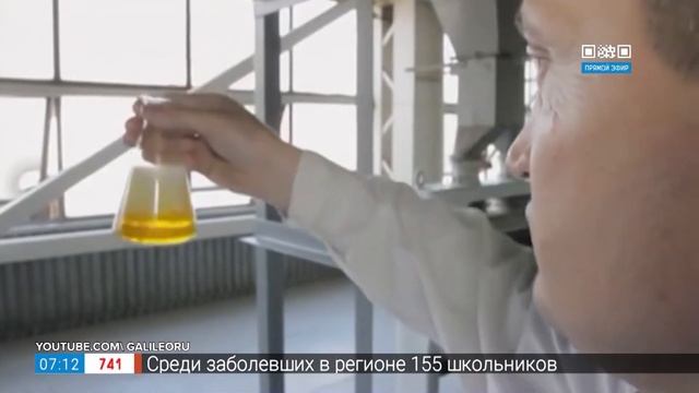 Сколько хранить растительное масло в рубрике «Срок годности» смотреть онлайн