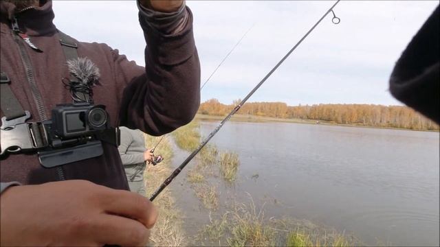 Рыбалка в Новосибирске. Ультралайт на вредного окуня. смотреть онлайн