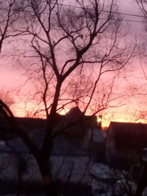 просто дома