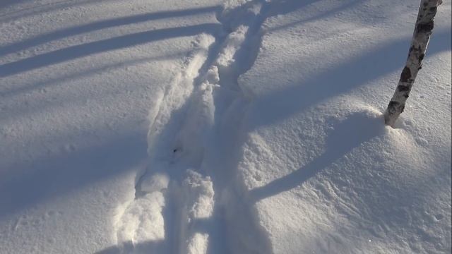 Днем и ночью по снежной тайге, таежный экстрим, но выручает навигатор GPS MAP 66ST #домавместе смотреть онлайн