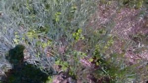 Копаю с TX 850 сьемка на экшн камеру H10 EIS