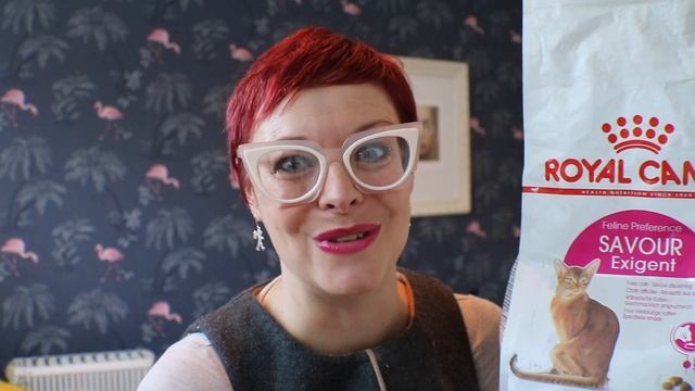 Episode 43: Dealing With Picky Eaters - The Cat Edition смотреть онлайн