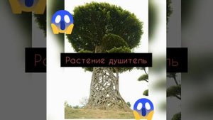 САМЫЕ ОПАСНЫЕ И ЖУТКИЕ ФАКТЫ О ПРИРОДЕ! Биология на 5