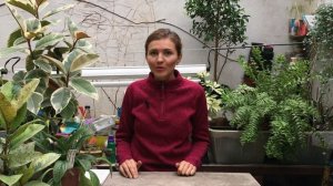 Дождевые черви - польза или вред для цветов?