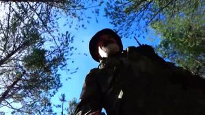 Совместимы ли дождь и грибы