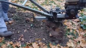 Самодельный мотоблок (культиватор)