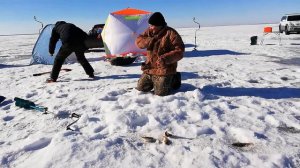 СОРЕВНОВАНИЯ ПО ЛОВУ РЫБЫ НА МОРМЫШКУ "ПРЕМУДРЫЙ ПЕСКАРЬ" НА ВЕРХНИЙ ТОБОЛЕ! РЫБАЛКА В КАЗАХСТАНЕ!