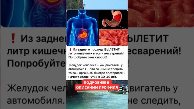 Подробнее рассказали по ссылке в комментариях #медицина #здоровье
