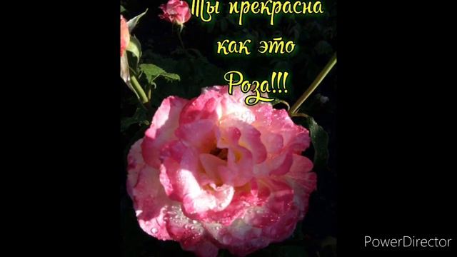 Мои открытки!!!!