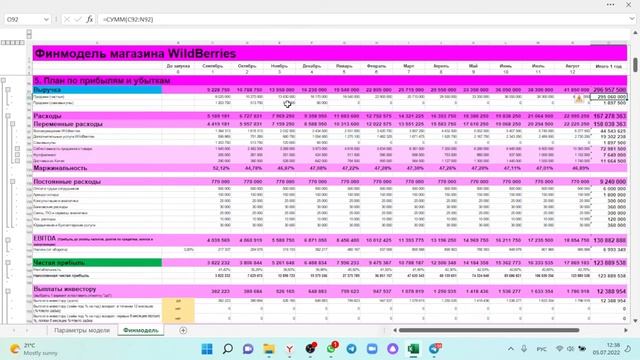 Обзор лучшей финансовой модели магазина WildBerries