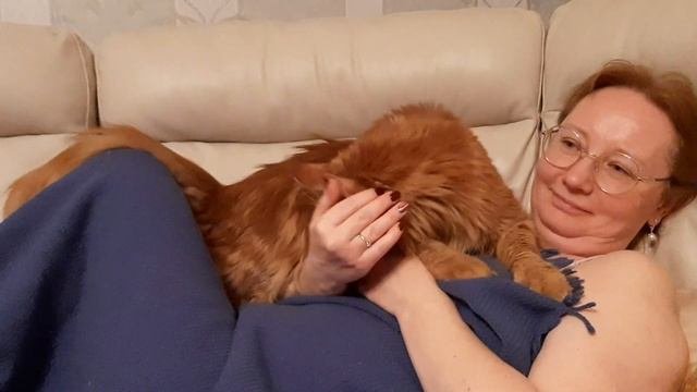 Что будет делать мейн-кун с хозяйкой!?