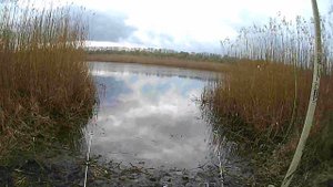 Рыбалка весной на карася с берега на спиннинг! Рабочая прикормка! Отличный улов!