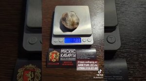 Струя Мускус Железа Кабарги