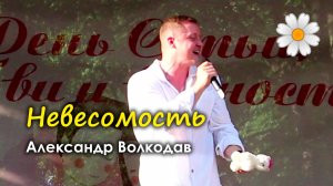 "Невесомость" Александр Волкодав - концерт ко Дню семьи, любви и верности, Раменки, Москва 4.07.24