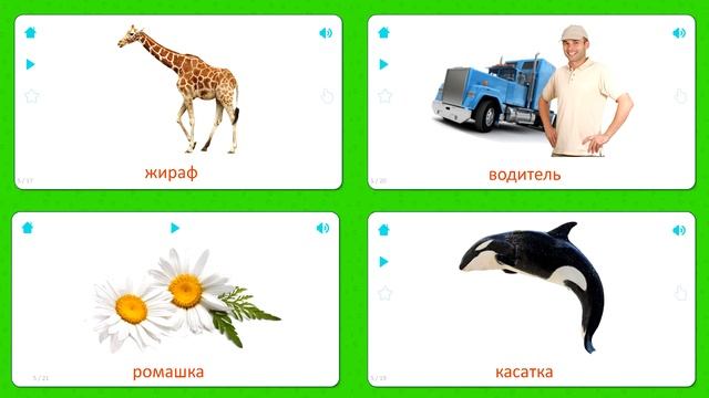 Бабочка - Карточки для детей - Насекомые - Карточки Домана