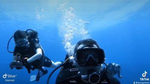 Дайвинг в Египте