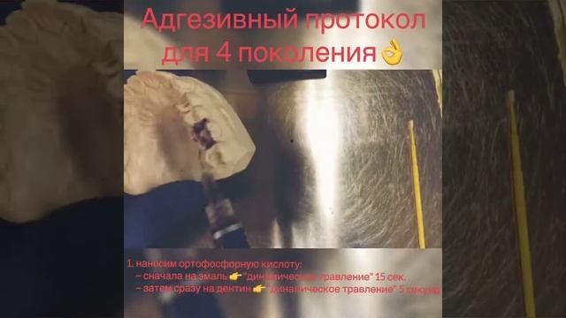 Адгезивные протоколы