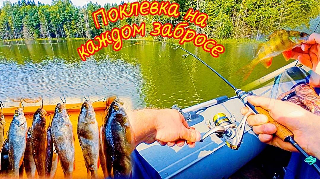 Мой первый опыт рыбалки на микроджиг. Я в ШОКЕ. Поклевка на каждом забросе.