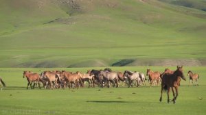 Удивительно Красивая Природа Монголии