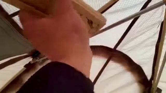 БАНЯ В ПАЛАТКЕ | 90 градусов | Палатка МФП-4 и печь Камин Малая от ПФ Берег смотреть онлайн