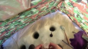 Рыбалка в Казахстане/река Ишим