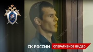 Изнасиловал, убил и расчленил