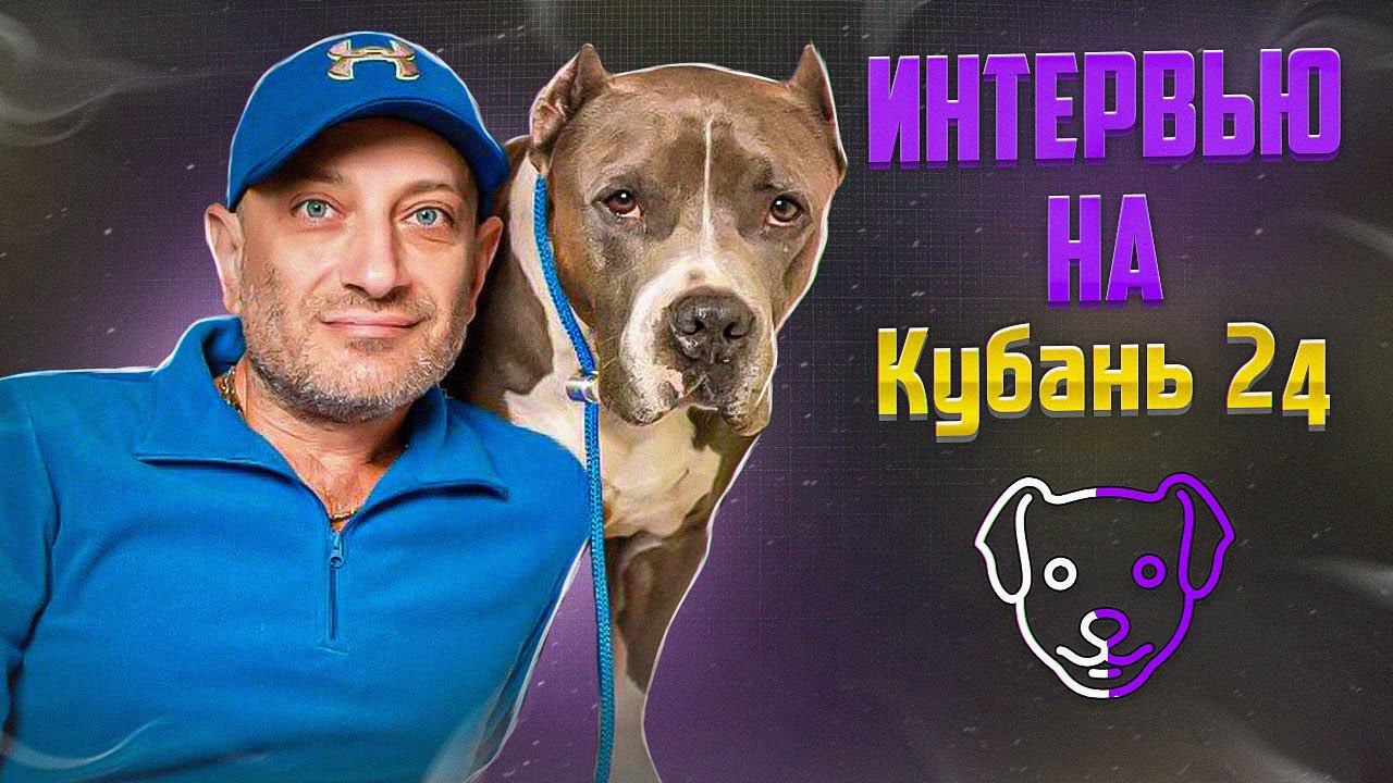 Специалист по поведению собак: "Я смотрю на животное с точки зрения его психологии"