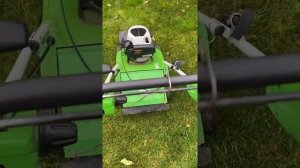 Обзор скарификатора Viking MB540 или STIHI RL 540.0 после трёх лет использования Тимур/Тарапатин