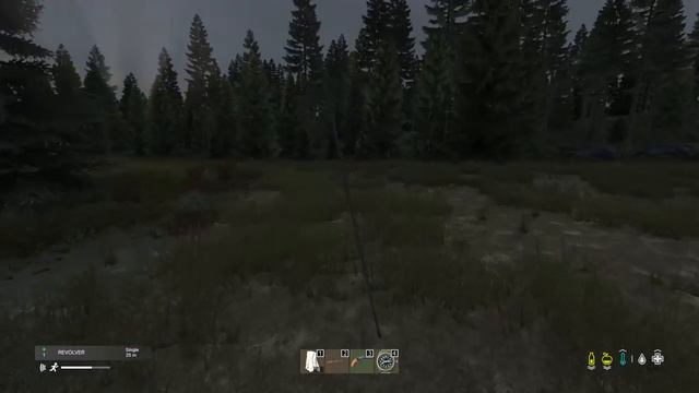 Welcome to Raptor island (DayZ) смотреть онлайн