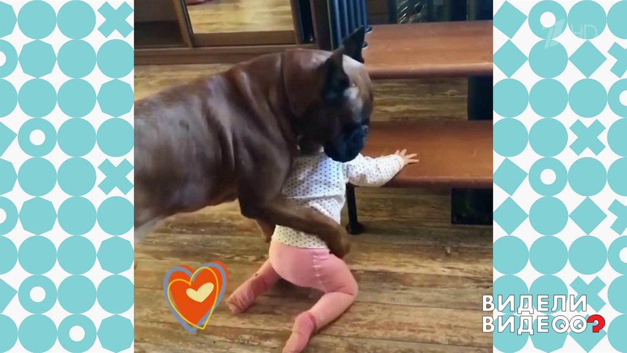 Видели видео добавить видео. Как отправить видео другу?. Видели видео добавить видео. Видели видео новогодний выпуск. Как отправить видео в видели видео.