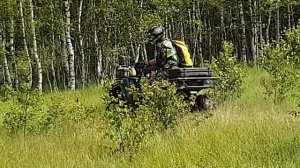 Kawasaki brute force 750 mudding
