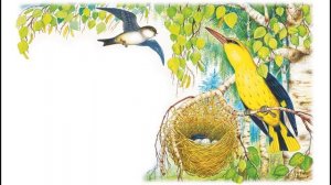 Лесные домишки (Виталий Бианки)||Аудиосказка