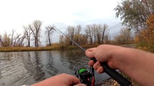 Спиннинг Для Джига с АлиЭкспресс | PISCIFUN SERPENT + HONOR XT | Тест, джиг, твичинг