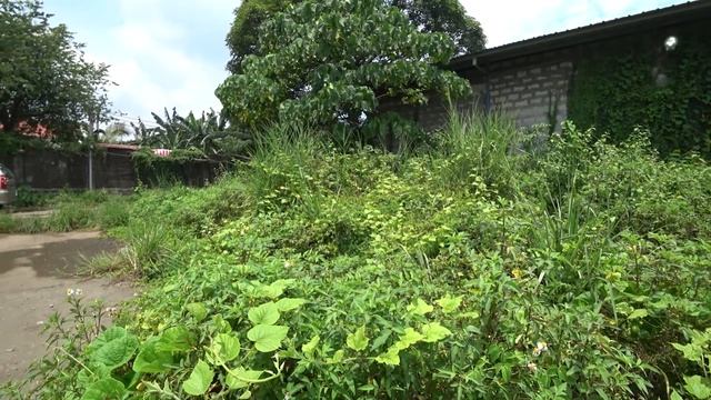 SONY FDR-X3000 focus fix. смотреть онлайн