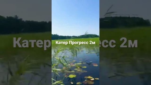 Катер Прогресс 2м, ямаха 60, движение по мелководью, #катер #прогресс #ямаха