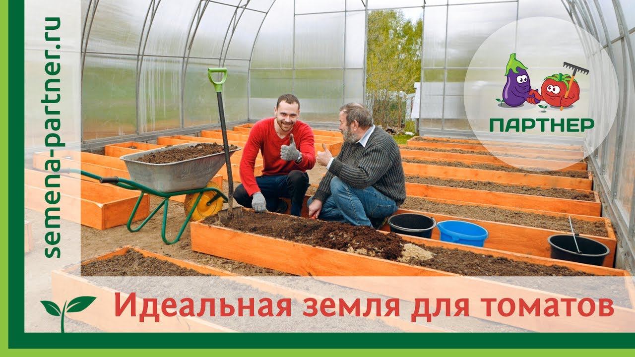 ЗЕМЛЯ ДЛЯ ТОМАТОВ В ТЕПЛИЦЕ