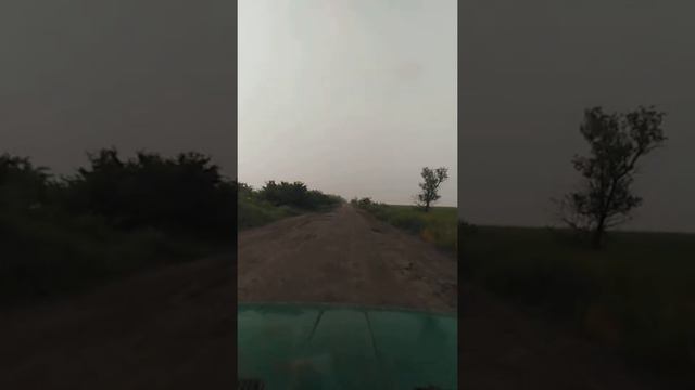 Трасса Брилевка-Новокиевка