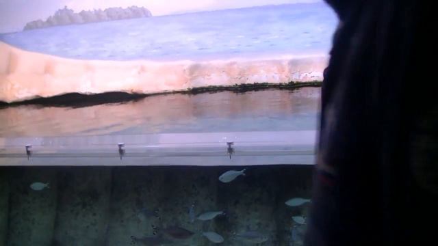 Мои маленькие путешествия // Когалым // Океанариум. смотреть онлайн