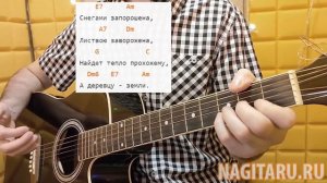 Как играть песню АЛЕКСАНДРА. Аккорды и разбор | Песни под гитару