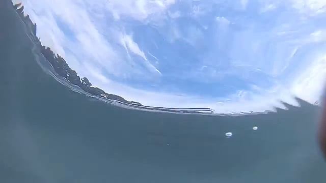 Просто занырнул с подводной камерой.(Санаторий «Южное Взморье») смотреть онлайн