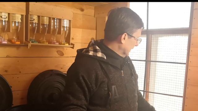 Чем кормить попугая.Разведение волнистых попугаев.Зерновой корм.